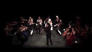 Vasily KalinnikovSerenade for String Orchestra [upl. by Burgwell]