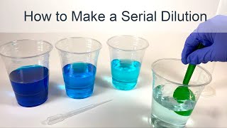 How to Make a Serial Dilution [upl. by Nowell994]