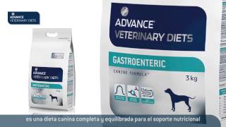 ADVANCE Veterinary Diets Gastroenteric Canine [upl. by Rissa]