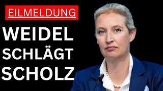 🚨 WETTEN AUF 2025 WIRD WEIDEL KANZLERIN MERZ UND SCHOLZ IM HINTERTREFFEN 🚨 [upl. by Harrad248]