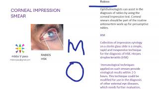 Microbiology Corneal impression smear eye slide glass touch ophthalmology virology rabies Herpes lab [upl. by Rhines]