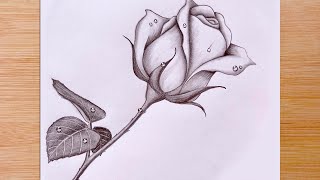 How To Draw a Rose with Water Drops  Pencil Sketch [upl. by Bennett]