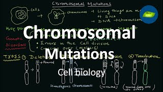 Chromosomal Mutations  Mutations  Cell Biology  Basic Science Series [upl. by Assele]