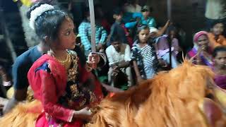 Maa Sherawali झांकी Latest Sherawali jhanki 2022  Sherawali Song Jagran Performance Navratri jhank [upl. by Leunas582]