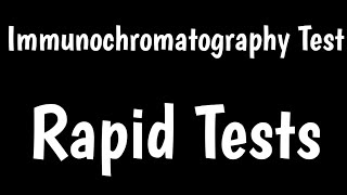 Rapid Tests  Immunochromatography Test  Lateral Flow Assay [upl. by Obocaj]