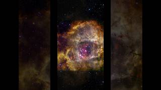 Chandra Xray Uncovering the Heart of the Rosette Nebulaastronomy shorts [upl. by Ailefo]