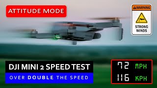 DJI Mini 2 Speed Test Over DOUBLE the Speed Limit😱 [upl. by Souvaine841]