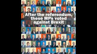 MPs WHO VOTED AGAINST BREXIT [upl. by Ahsienet]