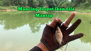 Umpan belum sampai bawah sudah di hajar ikan nila segini2 ❗️ [upl. by Juan]