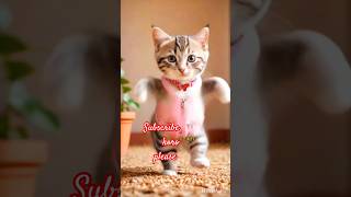 Subscribe koro please song music newsong love shortsfeed catdancer [upl. by Lacim]