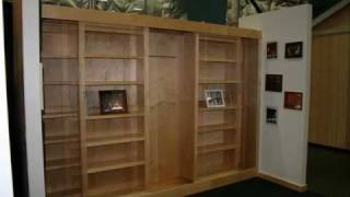 The BEST Bookcase Murphy Bed [upl. by Francis]