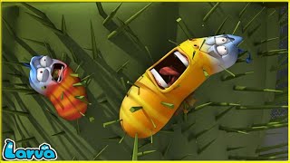 LARVA  THORN  CARTOON MOVIE FOR LIFE THE BEST OF CARTOON  HILARIOUS CARTOON COMPILATION [upl. by Sinnej]