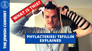 Everything You Need to Know About Tefillin  Biblical Phylacteries [upl. by Babby896]