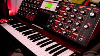 Moog Voyager Acid Basslines [upl. by Sualk]