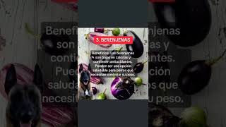 Consejos alimentario alimentacioncanina adiestramientodeperros sígueme redes [upl. by Hendrik]