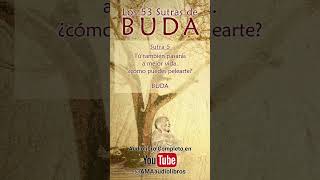 Buda  Sutra 5 Del Audiolibro Los 53 Sutras de Buda [upl. by Christabella624]