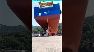 The way paintings are done in large ships।🧐😱shortvideo amazingfacts [upl. by Audry447]