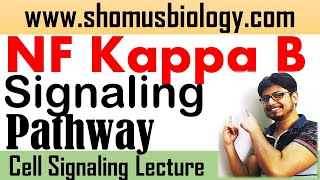 NF kappa B signaling pathway  Short tricks to learn cell signaling pathway [upl. by Selda]