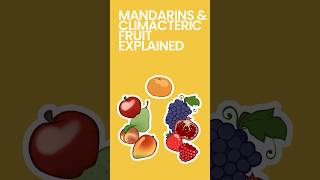 Mandarins Climacteric amp NonClimacteric Fruit Explained shorts [upl. by Gleason]