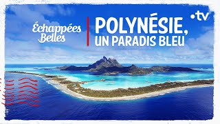 Polynésie un paradis bleu  Échappées belles [upl. by Airla]