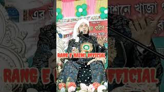 शाने ग़ौस पाक new tranding shorts short viralvideo viralshorts yt ytviral ytshorts islamic [upl. by Longerich]