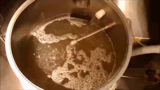 Malting Barley  Steeping [upl. by Ilam]