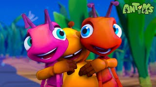 Meet The NEW ANT  Antiks 🐜  Action Cartoons For Kids [upl. by Asinet355]