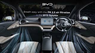 BYD Dolphin PM 25 air filters [upl. by Deroo]