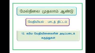 TN STATE BOARD 11std LESSON 12 MODEL LESSON PLAN for Teacher [upl. by Eirellav]