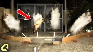 Next Level Cat Repellent  Funny Cat Reactions [upl. by Shiverick]