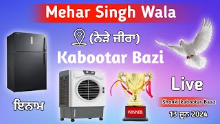 🔴Live🔴Kabootar Bazi Mukabla Pind Mehar Singh Wala Near Zira live kabootar bazi 2024 [upl. by Cerveny]