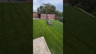 Quick Yard Cleanup 93 YardCleanUp GardeningTips cleanspace TrimmingTips quickcleaning garden [upl. by Raddie881]