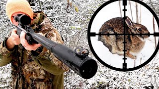 Rabbit Hunting with Gamo Air Rifle Scope Cam [upl. by Merkle]