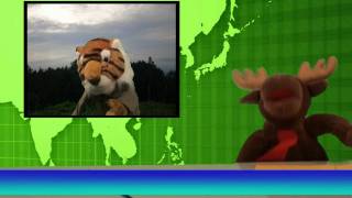 International Weather Report  Simple Skits [upl. by Sladen]