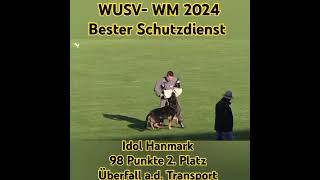 WUSVWM 2024 Idol Hanmark Bester Schutzdienst [upl. by Beckett]