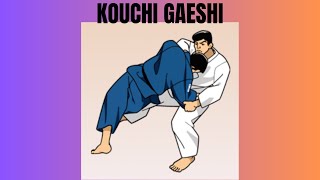 TÉCNICA KOUCHI GAESHI [upl. by Won441]