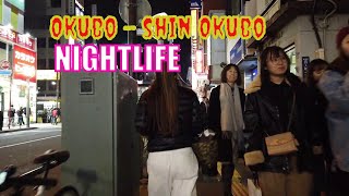 Night Walking from Okubo Station to ShinOkubo Station Tokyo Japan [upl. by Ferdinanda]