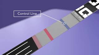 About the QuickVue At Home OTC COVID 19 Test Technology [upl. by Traggat]