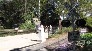 St Louis Zoo Train Crossing [upl. by Alegre]