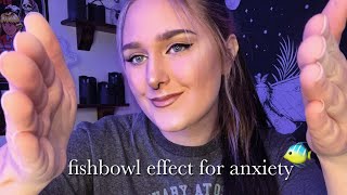 ASMR Fishbowl Effect for Anxiety 🐠 [upl. by Loseff]