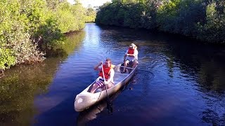 Canoeing on the Estero River at Koreshan State Park [upl. by Wistrup]