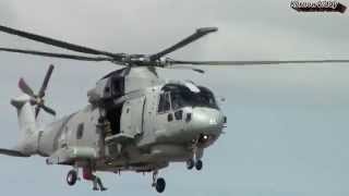 RNAS Culdrose Air Day 2014 Flight Highlights HD [upl. by Combs]