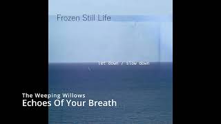 Frozen Still Life  Echoes Of Your Breath [upl. by Ballou]