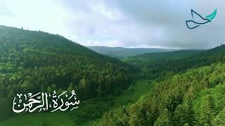 SURAH REHMAN  Omar Hisham Al Arabi  Healing and Relaxing [upl. by Bible]