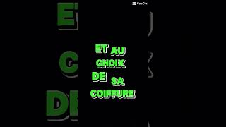 On vient d’avoir de nouveaux chat et là femelle était enceinte portée de 3 chaton née [upl. by Rycca]