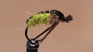 Grannom Caddis Pupa [upl. by Emmerie]