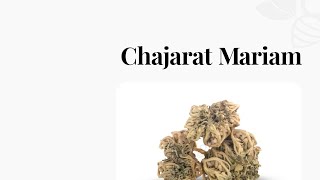 Chajarat Mariam  utilisation grossesse et vertus [upl. by Ollehcram605]