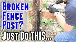 How to Fix a Broken Fence Post in Under 30 Minutes [upl. by Eibbob175]