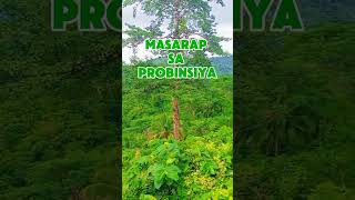 buhay probinsya [upl. by Ariane]