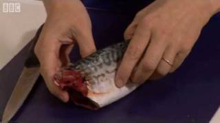 How to fillet a mackerel  BBC GoodFood com  BBC Food [upl. by Pears]